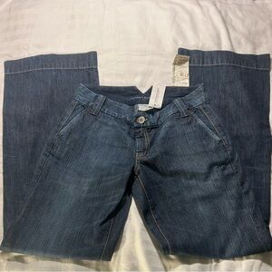 Banana Republic Dark Blue Flare Jeans